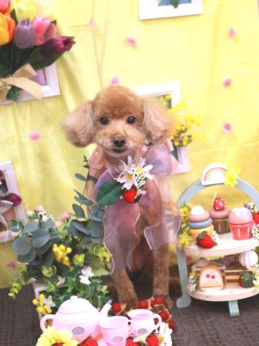 20230324そらちゃん